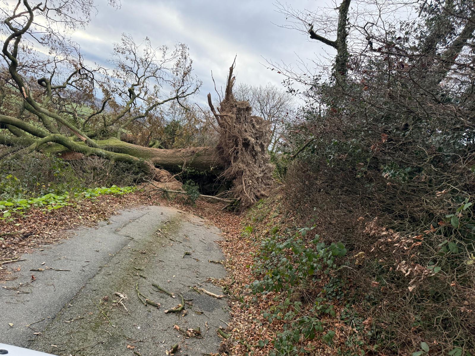 Nantybwla Storm Damage